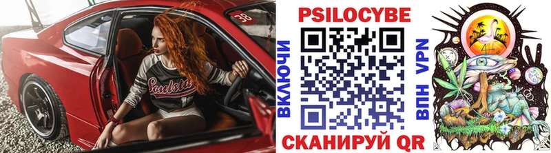 Галлюциногенные грибы Psilocybe hydra ССЫЛКА Владимир
